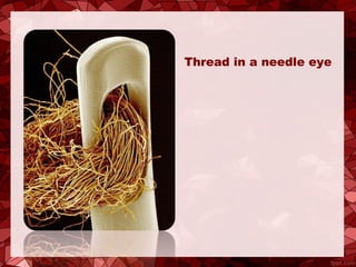 Thread in a needle eye
 