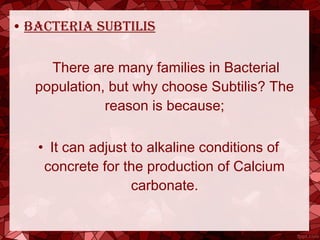 • BacterIa SuBtIlIS
There are many families in Bacterial
population, but why choose Subtilis? The
reason is because;
• It can adjust to alkaline conditions of
concrete for the production of Calcium
carbonate.
 