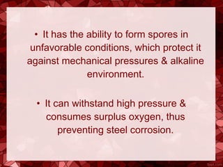 • It has the ability to form spores in
unfavorable conditions, which protect it
against mechanical pressures & alkaline
environment.
• It can withstand high pressure &
consumes surplus oxygen, thus
preventing steel corrosion.
 