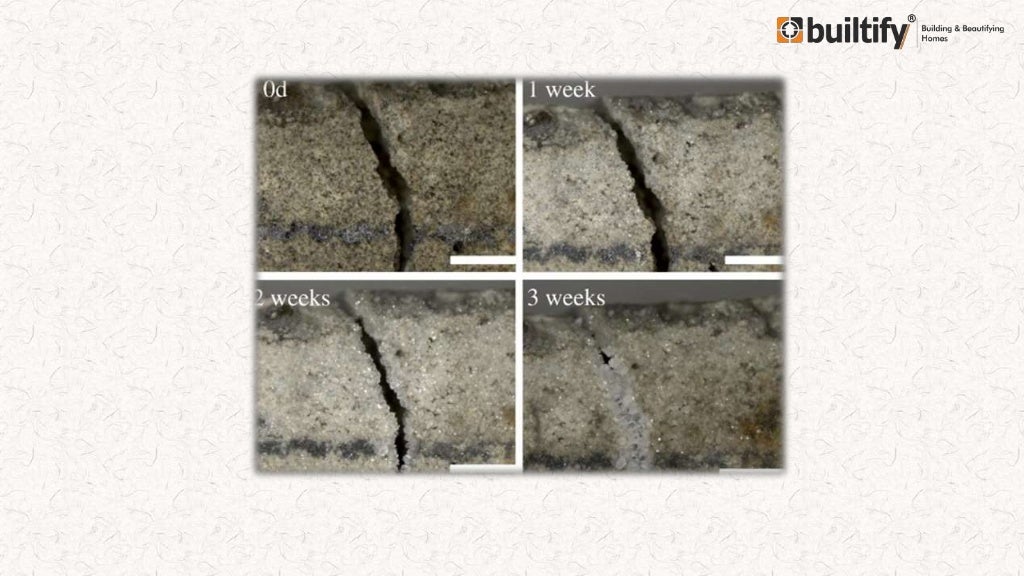 Self healing concrete