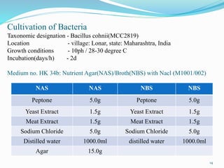 Cultivation of Bacteria
Taxonomic designation - Bacillus cohnii(MCC2819)
Location - village: Lonar, state: Maharashtra, India
Growth conditions - 10ph / 28-30 degree C
Incubation(days/h) - 2d
Medium no. HK 34b: Nutrient Agar(NAS)/Broth(NBS) with Nacl (M1001/002)
14
NAS NAS NBS NBS
Peptone 5.0g Peptone 5.0g
Yeast Extract 1.5g Yeast Extract 1.5g
Meat Extract 1.5g Meat Extract 1.5g
Sodium Chloride 5.0g Sodium Chloride 5.0g
Distilled water 1000.0ml distilled water 1000.0ml
Agar 15.0g
 