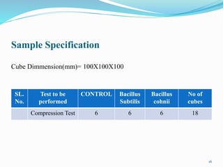 Sample Specification
Cube Dimmension(mm)= 100X100X100
16
SL.
No.
Test to be
performed
CONTROL Bacillus
Subtilis
Bacillus
cohnii
No of
cubes
Compression Test 6 6 6 18
 