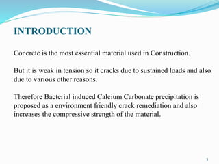 INTRODUCTION
Concrete is the most essential material used in Construction.
But it is weak in tension so it cracks due to sustained loads and also
due to various other reasons.
Therefore Bacterial induced Calcium Carbonate precipitation is
proposed as a environment friendly crack remediation and also
increases the compressive strength of the material.
3
 