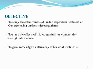 OBJECTIVE
• To study the effectiveness of the bio deposition treatment on
Concrete using various microorganisms.
• To study the effects of microorganisms on compressive
strength of Concrete.
• To gain knowledge on efficiency of bacterial treatments.
5
 