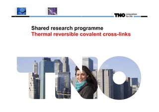Shared research programme
Thermal reversible covalent cross-links
 
