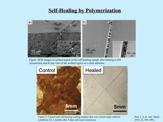 Self-Healing by Polymerization




Figure. SEM images of scribed region of the self-healing sample after healing a) 458
crosssection and b) top view of the scribed region on a steel substrate.




        Figure 2. Control and self-healing coating samples that were stored under ambient   Park, J. et al. Adv. Mater.
        conditions for 2 months after 5 days salt water immersion.                          2010, 22, 496–499.c
 