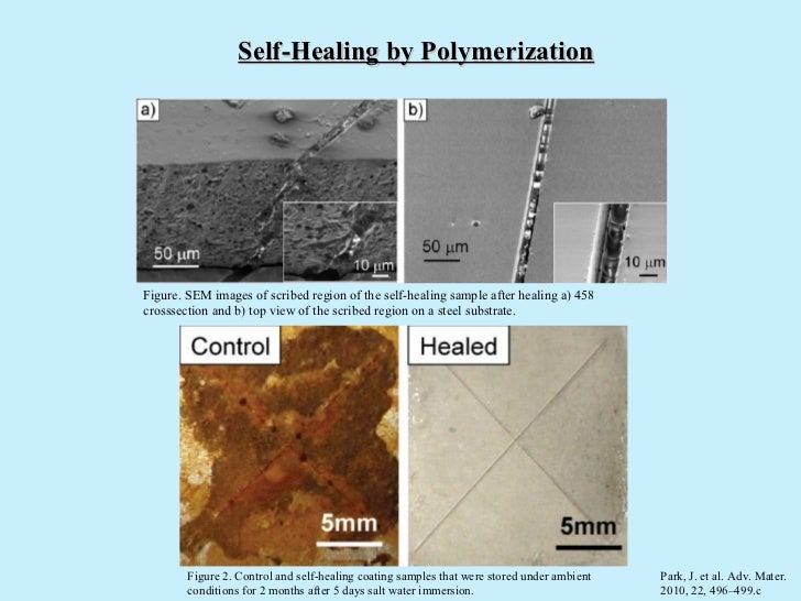 Selfhealing Materials