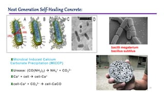 22
Next Generation Self-Healing Concrete:
♜Microbial Induced Calcium
Carbonate Precipitation (MICCP)
♜Urease: (CO(NH2)2)  NH4
+ + CO3
2–
♜Ca+ + cell  cell-Ca+
♜cell-Ca+ + CO3
2–  cell-CaCO
bacilli megaterium
bacillus subtilus
 