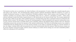 26
3
The bacteria can thus act as a nucleation site which facilitates in the precipitation of calcite which can eventually plug the pores
and cracks in the concrete. This microbiologically induced calcium carbonate precipitation (MICCP) comprises of a series of
complex biochemical reactions. As part of metabolism, B.Subtilus produces urease, which catalyses urea to produce CO 2 and
ammonia, resulting in an increase of pH in the surroundings where ions Ca 2+ and CO 32- precipitate as CaCO 3 . These create
calcium carbonate crystals that further expand and grow as the bacteria devour the calcium lactate food. The crystals expand until
the entire gap is filled. In any place where standard concrete is currently being used, there is potential for the use of bacterial self-
healing concrete instead. The advantage of having self- healing properties is that the perpetual and expected cracking that occurs
in every concrete structure due to its brittle nature can be controlled, reduced, and repaired without a human work crew. Bacterial
self-healing concrete also prevents the exposure of the internal reinforcements. This form of self-healing concrete was created to
continuously heal any damage done on or in the concrete structure. It was made to extend the life span of a concrete structure of
any size, shape, or project and to add extra protection to the steel reinforcements from the elements. With this process, money can
be saved, structures will last far longer, and the concrete industry as a whole will be turning out a far more sustainable product,
effectively reducing its CO2 contribution.
 