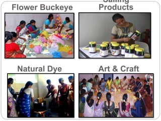 Art & Craft
Flower Buckeye
Natural Dye
Sailing
Products
 