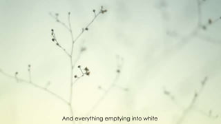 And everything emptying into white
 