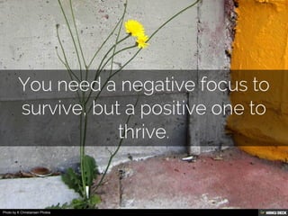 Photo by K Christiansen Photos
 