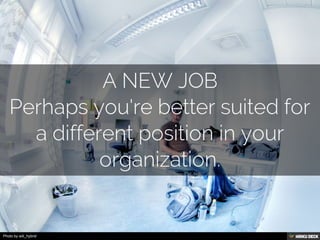 Photo by wili_hybrid
 