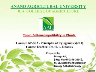 ANAND AGRICLTURAL UNIVERSITY
B. A. COLLEGE OF AGRICULTURE
Topic: Self-incompatibility in Plants.
Course: GP-502 - Principles of Cytogenetics(2+1)
Course Teacher: Dr. H. L. Dhaduk
Prepared By,
Dhanya A J,
[ Reg. No: 04-2348-2014 ],
M. Sc. (Agri) Plant Molecular -
Biology & Biotechnology
1
 