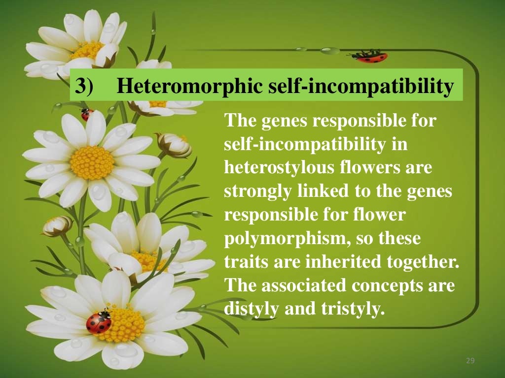Self incompatibility in plants