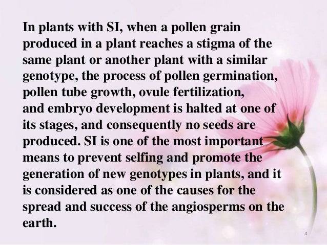 self-fertilization mechanisms prevent 2 to Self Plants incompatibility in self-fertilization mechanisms prevent 2 to Self Plants incompatibility in