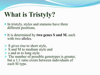 What is Tristyly?
 In tristyly, styles and stamens have three
different positions.
 It is determined by two genes S and M, each
with two alleles.
 S gives rise to short style,
 S and M to medium style and
 s and m to long style.
 The number of possible genotypes is greater,
but a 1:1 ratio exists between individuals of
each SI type.
 