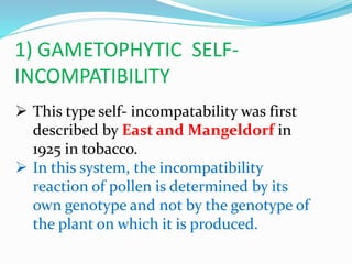 1) GAMETOPHYTIC SELF-
INCOMPATIBILITY
 This type self- incompatability was first
described by East and Mangeldorf in
1925 in tobacco.
 In this system, the incompatibility
reaction of pollen is determined by its
own genotype and not by the genotype of
the plant on which it is produced.
 