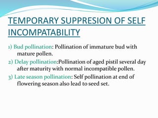 TEMPORARY SUPPRESION OF SELF
INCOMPATABILITY
1) Bud pollination: Pollination of immature bud with
mature pollen.
2) Delay pollination:Pollination of aged pistil several day
after maturity with normal incompatible pollen.
3) Late season pollination: Self pollination at end of
flowering season also lead to seed set.
 