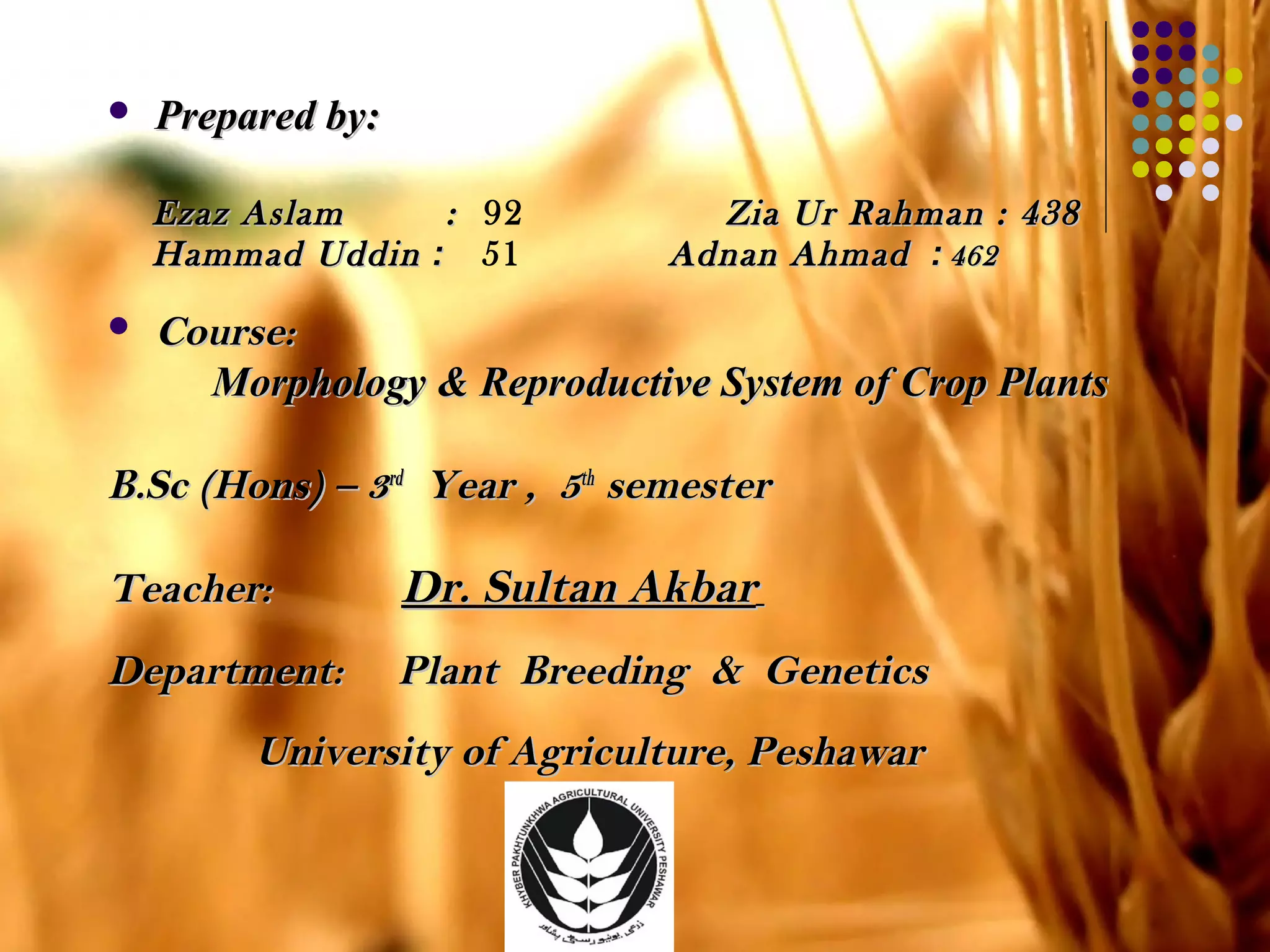  Prepared by:Prepared by:
Ezaz AslamEzaz Aslam :: 92 Zia Ur Rahman : 438Zia Ur Rahman : 438
Hammad UddinHammad Uddin :: 51 Adnan AhmadAdnan Ahmad :: 462462
 Course:Course:
Morphology & Reproductive System of Crop PlantsMorphology & Reproductive System of Crop Plants
B.Sc (Hons) – 3B.Sc (Hons) – 3rdrd
Year , 5Year , 5thth
semestersemester
Teacher:Teacher: Dr. Sultan AkbarDr. Sultan Akbar
Department:Department: Plant Breeding & GeneticsPlant Breeding & Genetics
University of Agriculture, PeshawarUniversity of Agriculture, Peshawar
 