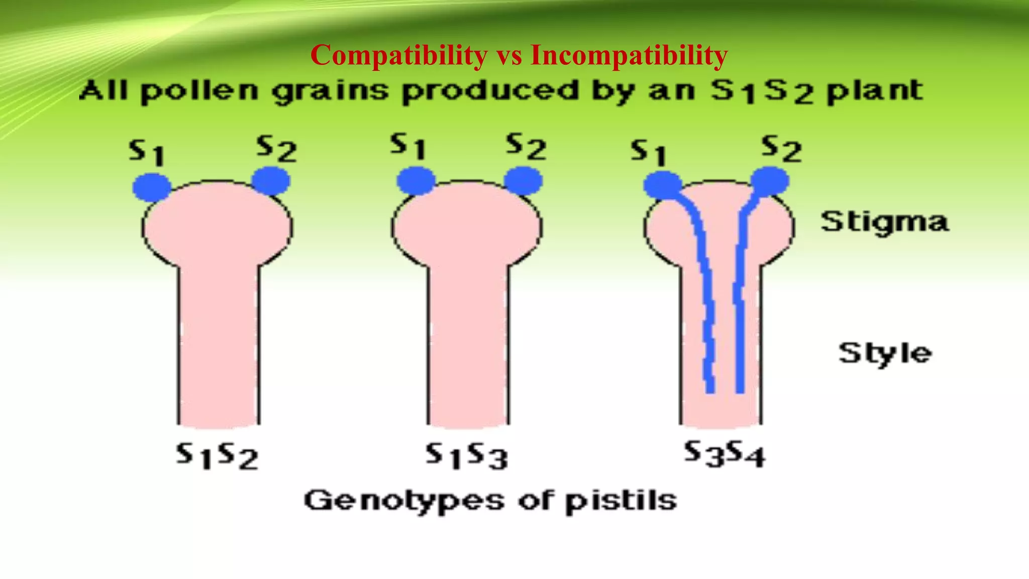 Compatibility vs Incompatibility
 