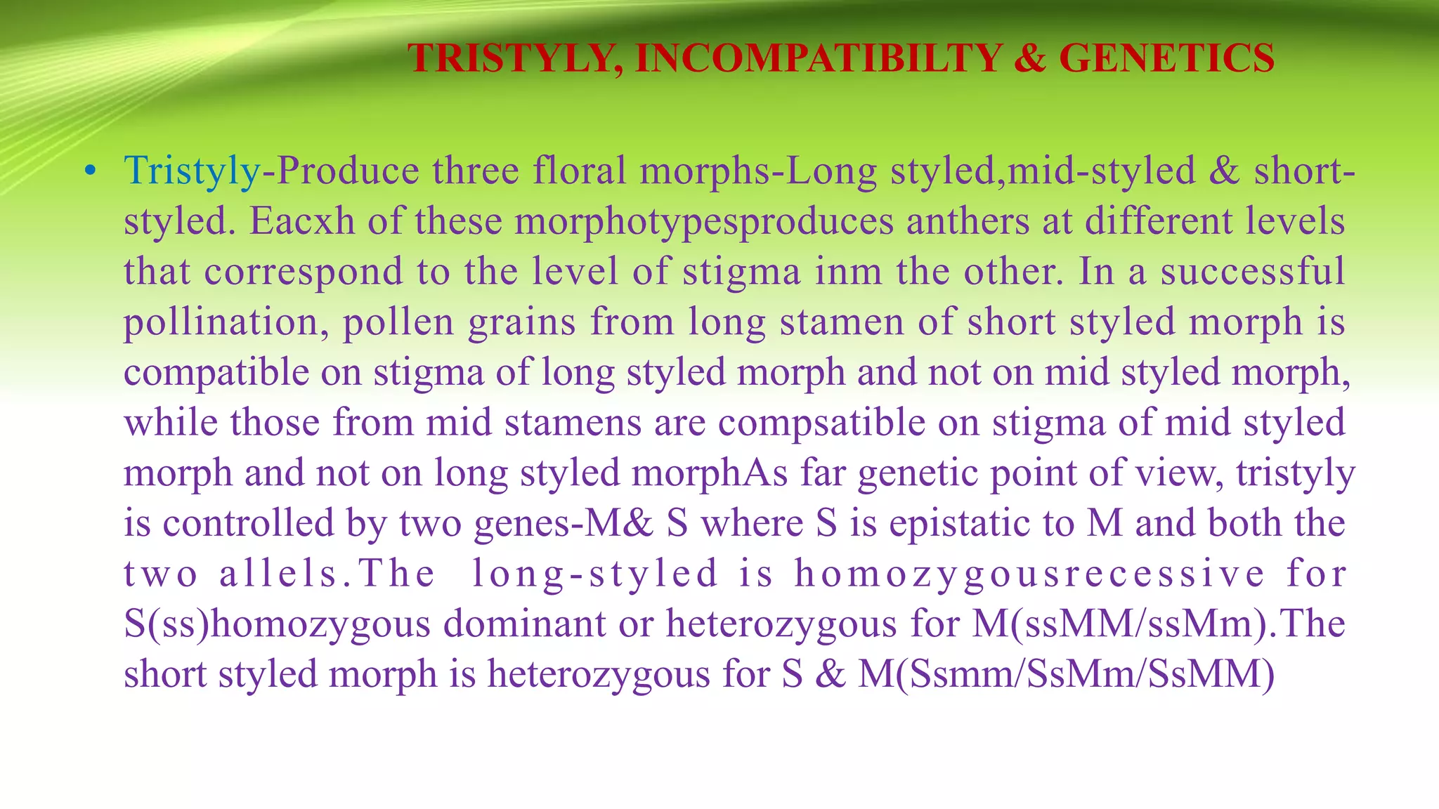 TRISTYLY, INCOMPATIBILTY & GENETICS
• Tristyly-Produce three floral morphs-Long styled,mid-styled & short-
styled. Eacxh of these morphotypesproduces anthers at different levels
that correspond to the level of stigma inm the other. In a successful
pollination, pollen grains from long stamen of short styled morph is
compatible on stigma of long styled morph and not on mid styled morph,
while those from mid stamens are compsatible on stigma of mid styled
morph and not on long styled morphAs far genetic point of view, tristyly
is controlled by two genes-M& S where S is epistatic to M and both the
two allels.The long-styled is homozygousrecessive for
S(ss)homozygous dominant or heterozygous for M(ssMM/ssMm).The
short styled morph is heterozygous for S & M(Ssmm/SsMm/SsMM)
 