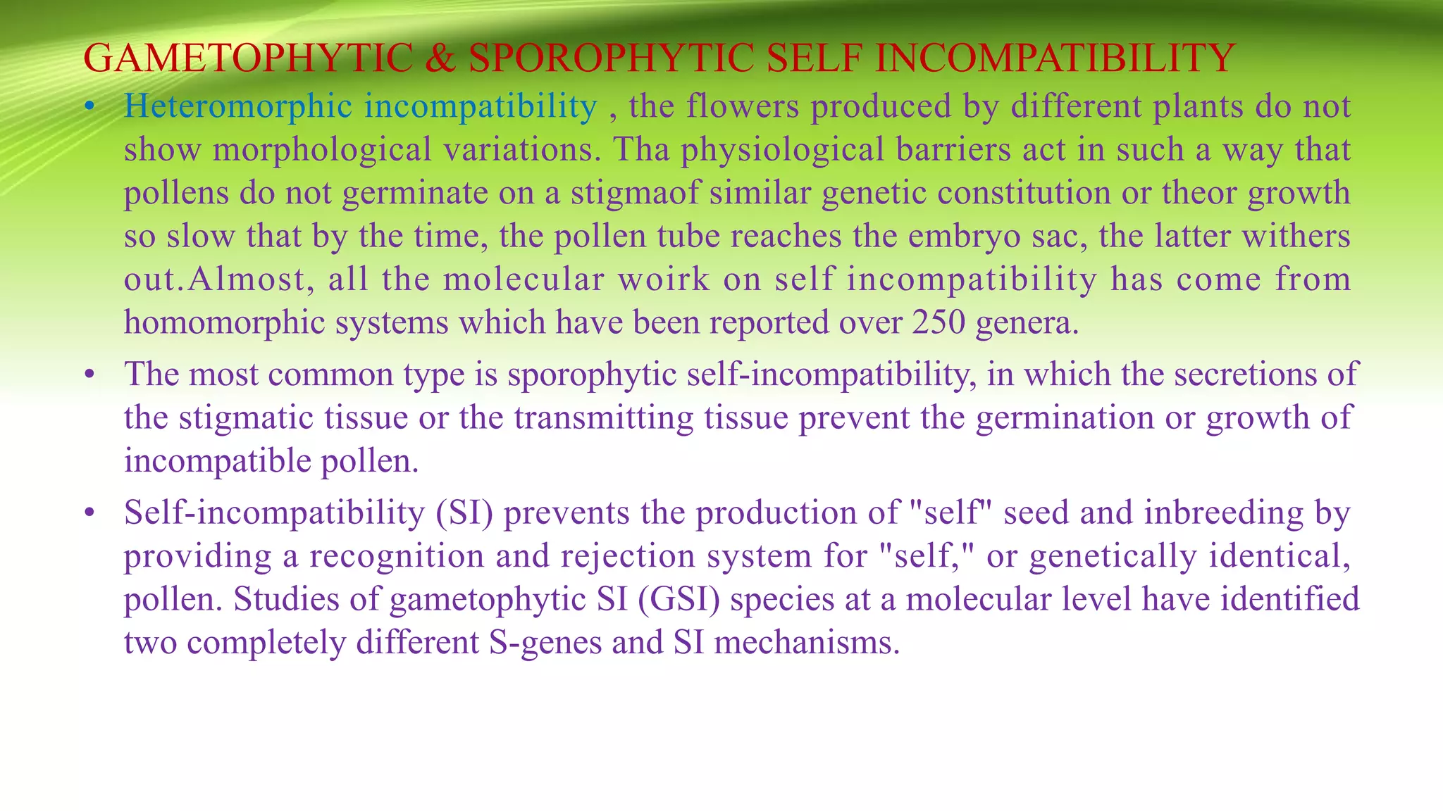 GAMETOPHYTIC & SPOROPHYTIC SELF INCOMPATIBILITY
• Heteromorphic incompatibility , the flowers produced by different plants do not
show morphological variations. Tha physiological barriers act in such a way that
pollens do not germinate on a stigmaof similar genetic constitution or theor growth
so slow that by the time, the pollen tube reaches the embryo sac, the latter withers
out.Almost, all the molecular woirk on self incompatibility has come from
homomorphic systems which have been reported over 250 genera.
• The most common type is sporophytic self-incompatibility, in which the secretions of
the stigmatic tissue or the transmitting tissue prevent the germination or growth of
incompatible pollen.
• Self-incompatibility (SI) prevents the production of "self" seed and inbreeding by
providing a recognition and rejection system for "self," or genetically identical,
pollen. Studies of gametophytic SI (GSI) species at a molecular level have identified
two completely different S-genes and SI mechanisms.
 