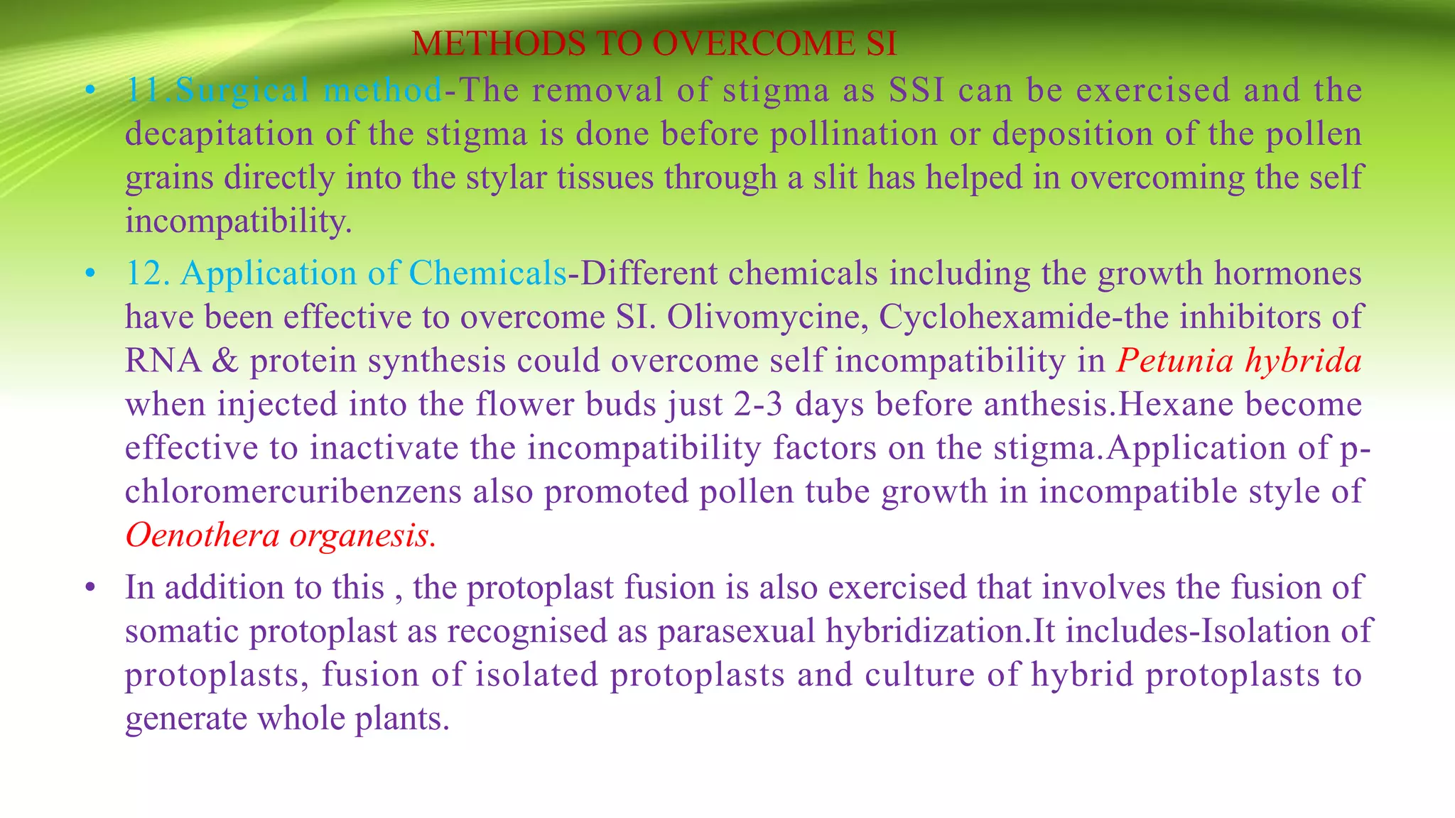 METHODS TO OVERCOME SI
• 11.Surgical method-The removal of stigma as SSI can be exercised and the
decapitation of the stigma is done before pollination or deposition of the pollen
grains directly into the stylar tissues through a slit has helped in overcoming the self
incompatibility.
• 12. Application of Chemicals-Different chemicals including the growth hormones
have been effective to overcome SI. Olivomycine, Cyclohexamide-the inhibitors of
RNA & protein synthesis could overcome self incompatibility in Petunia hybrida
when injected into the flower buds just 2-3 days before anthesis.Hexane become
effective to inactivate the incompatibility factors on the stigma.Application of p-
chloromercuribenzens also promoted pollen tube growth in incompatible style of
Oenothera organesis.
• In addition to this , the protoplast fusion is also exercised that involves the fusion of
somatic protoplast as recognised as parasexual hybridization.It includes-Isolation of
protoplasts, fusion of isolated protoplasts and culture of hybrid protoplasts to
generate whole plants.
 