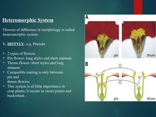 self incompatibility. In plants mmmmmmmm | PPTX