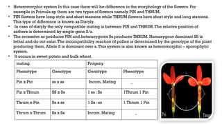 Comprehensive Overview of Self-Incompatibility in Plants: Mechanisms ...