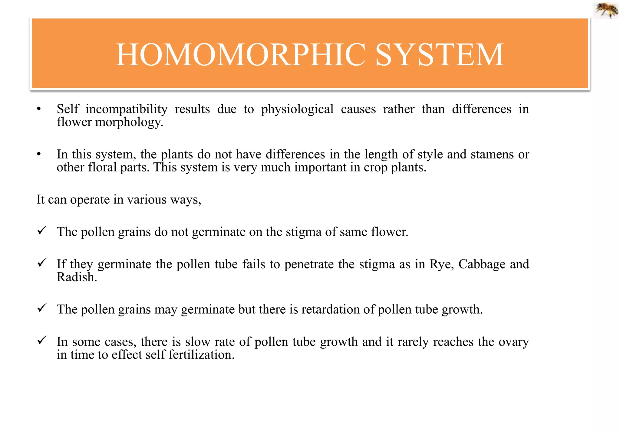 HOMOMORPHIC SYSTEM
• Self incompatibility results due to physiological causes rather than differences in
flower morphology.
• In this system, the plants do not have differences in the length of style and stamens or
other floral parts. This system is very much important in crop plants.
It can operate in various ways,
 The pollen grains do not germinate on the stigma of same flower.
 If they germinate the pollen tube fails to penetrate the stigma as in Rye, Cabbage and
Radish.
 The pollen grains may germinate but there is retardation of pollen tube growth.
 In some cases, there is slow rate of pollen tube growth and it rarely reaches the ovary
in time to effect self fertilization.
 