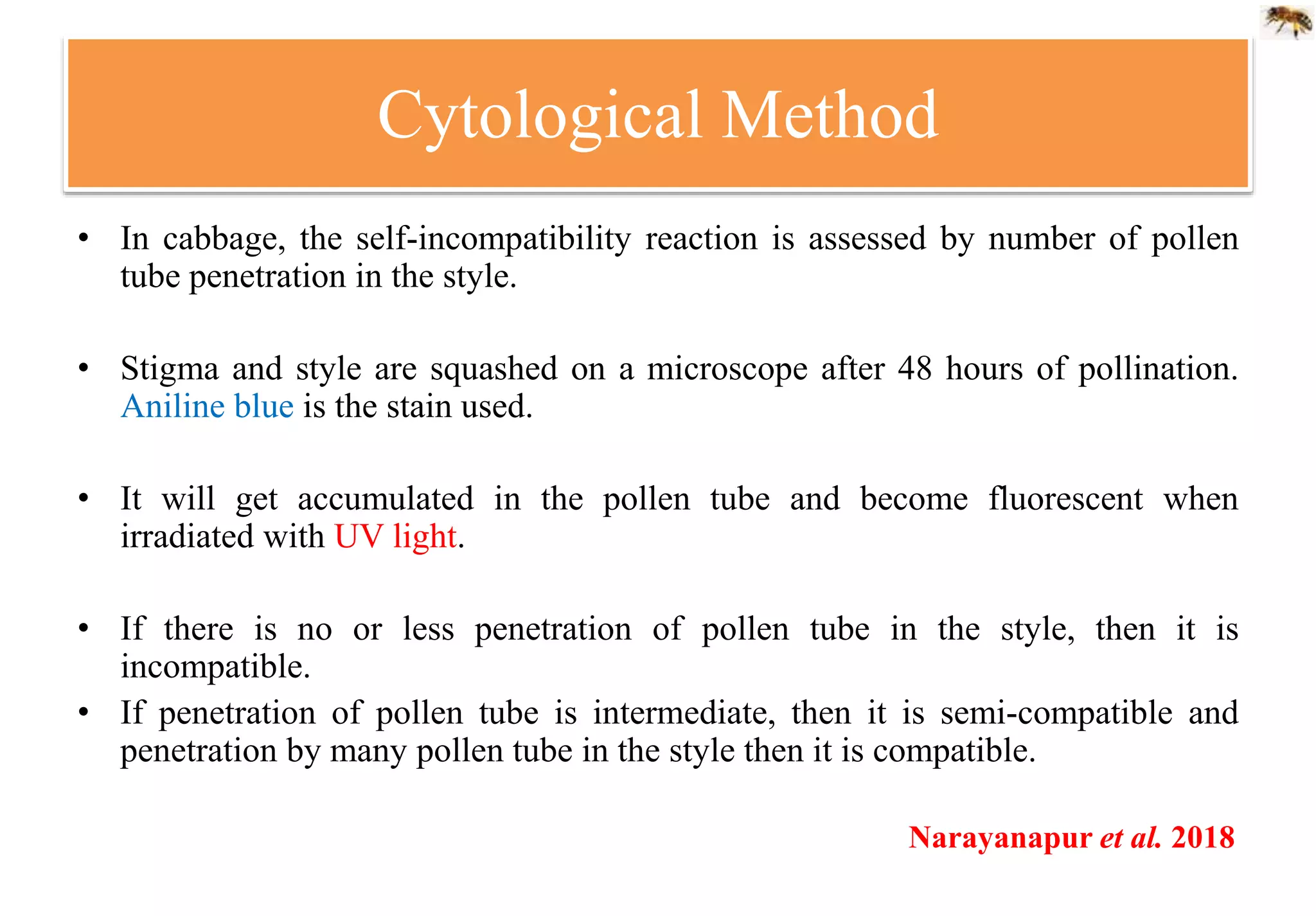 Cytological Method
• In cabbage, the self-incompatibility reaction is assessed by number of pollen
tube penetration in the style.
• Stigma and style are squashed on a microscope after 48 hours of pollination.
Aniline blue is the stain used.
• It will get accumulated in the pollen tube and become fluorescent when
irradiated with UV light.
• If there is no or less penetration of pollen tube in the style, then it is
incompatible.
• If penetration of pollen tube is intermediate, then it is semi-compatible and
penetration by many pollen tube in the style then it is compatible.
Narayanapur et al. 2018
 