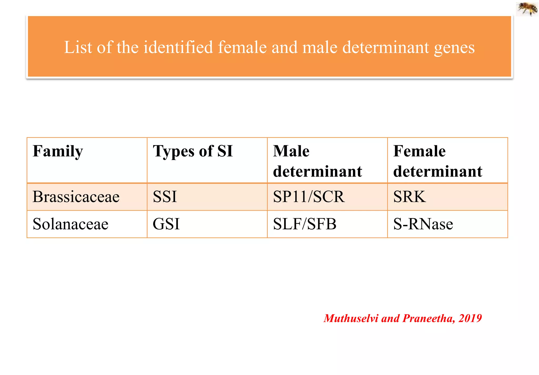 List of the identified female and male determinant genes
Family Types of SI Male
determinant
Female
determinant
Brassicaceae SSI SP11/SCR SRK
Solanaceae GSI SLF/SFB S-RNase
Muthuselvi and Praneetha, 2019
 