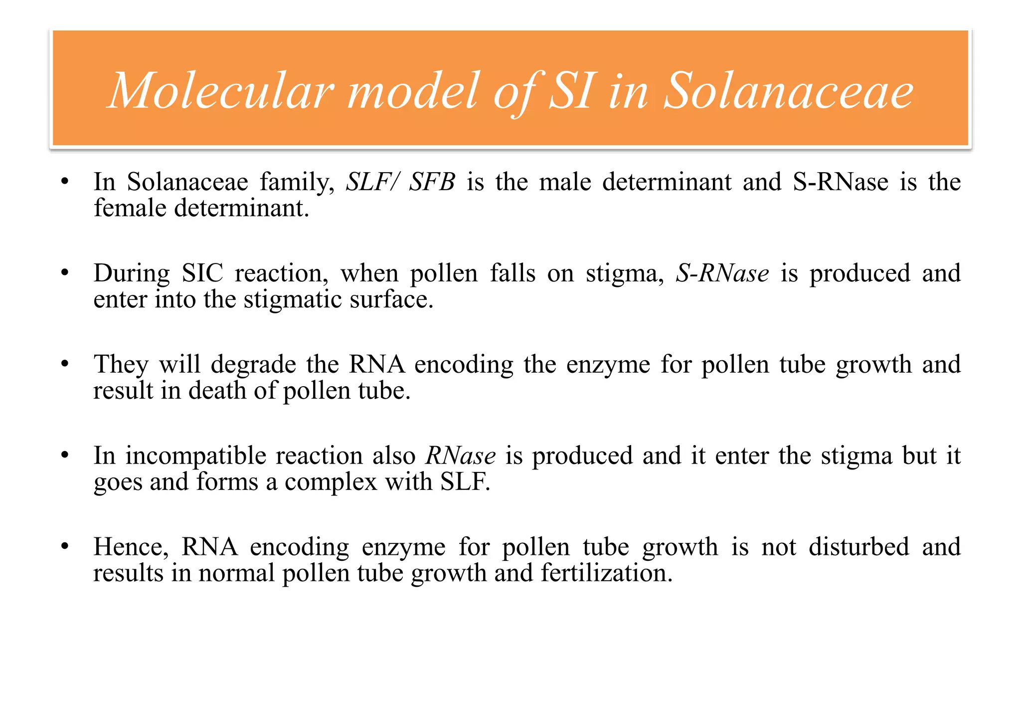 Molecular model of SI in Solanaceae
• In Solanaceae family, SLF/ SFB is the male determinant and S-RNase is the
female determinant.
• During SIC reaction, when pollen falls on stigma, S-RNase is produced and
enter into the stigmatic surface.
• They will degrade the RNA encoding the enzyme for pollen tube growth and
result in death of pollen tube.
• In incompatible reaction also RNase is produced and it enter the stigma but it
goes and forms a complex with SLF.
• Hence, RNA encoding enzyme for pollen tube growth is not disturbed and
results in normal pollen tube growth and fertilization.
 