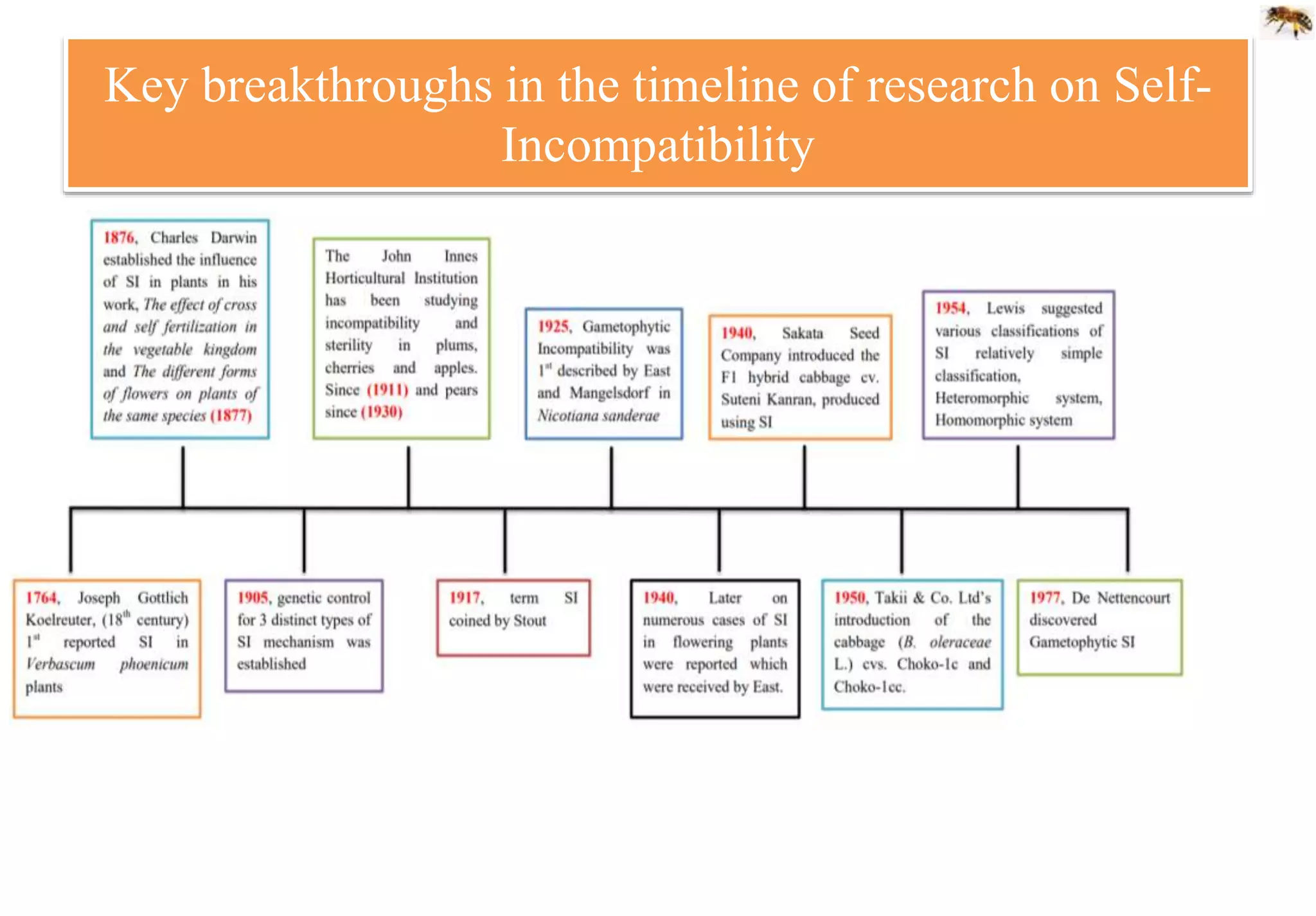 Key breakthroughs in the timeline of research on Self-
Incompatibility
 