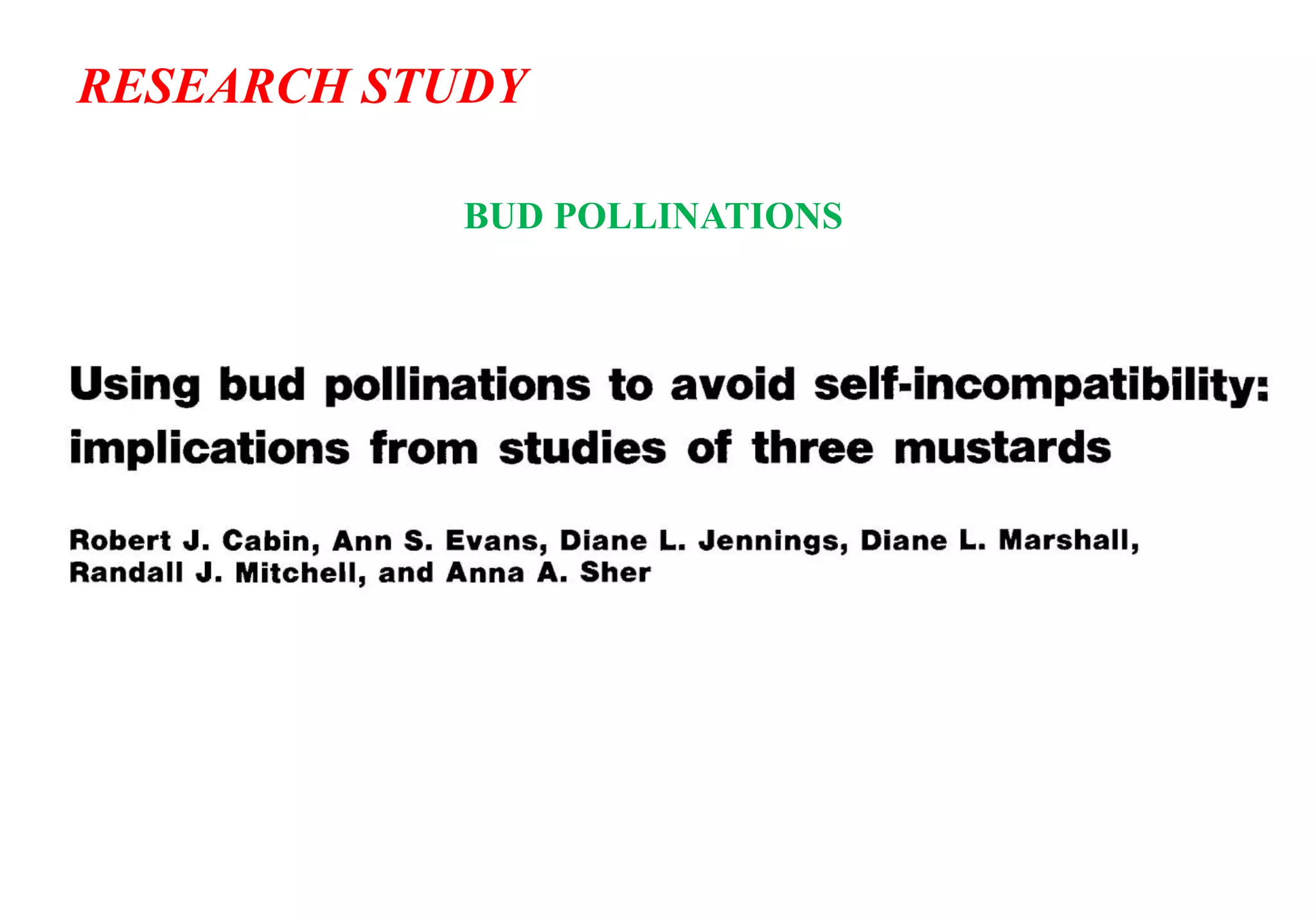 RESEARCH STUDY
BUD POLLINATIONS
 