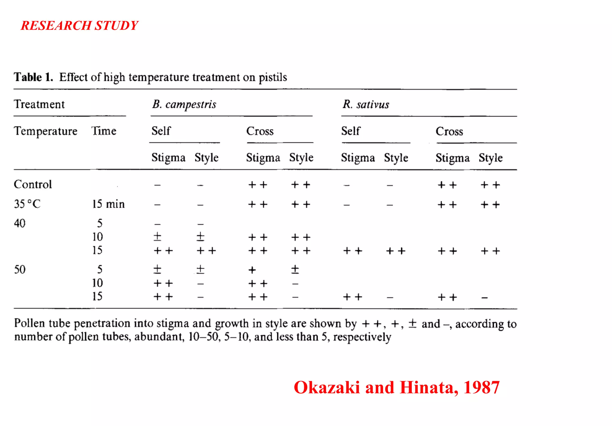 Okazaki and Hinata, 1987
RESEARCH STUDY
 