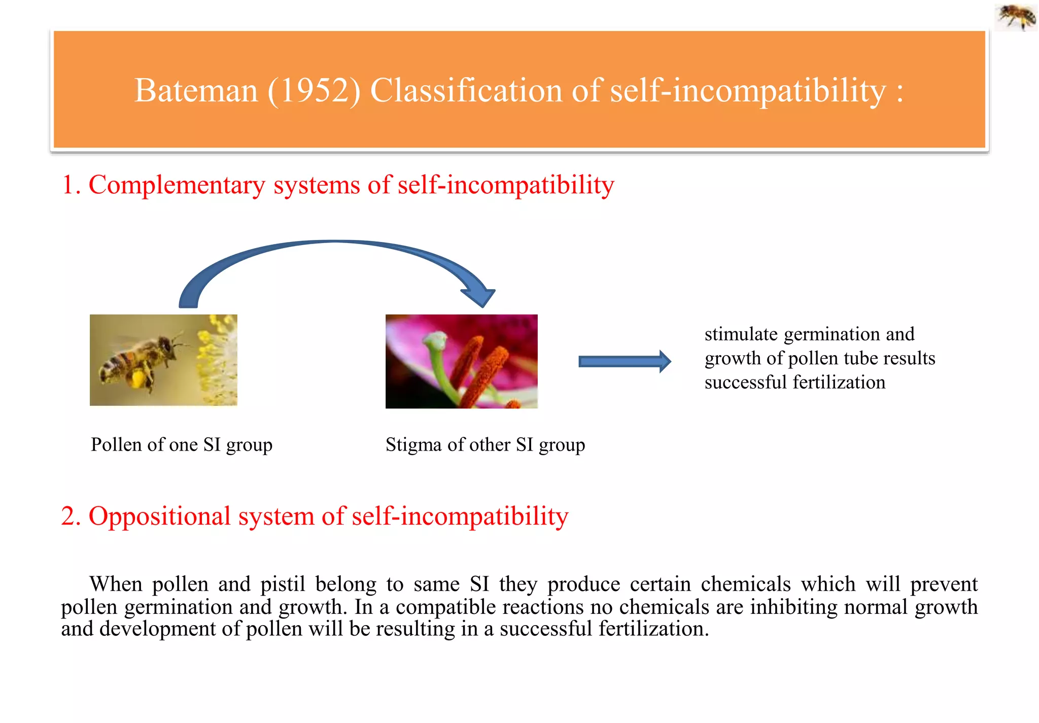 Bateman (1952) Classification of self-incompatibility :
1. Complementary systems of self-incompatibility
2. Oppositional system of self-incompatibility
When pollen and pistil belong to same SI they produce certain chemicals which will prevent
pollen germination and growth. In a compatible reactions no chemicals are inhibiting normal growth
and development of pollen will be resulting in a successful fertilization.
Pollen of one SI group Stigma of other SI group
stimulate germination and
growth of pollen tube results
successful fertilization
 