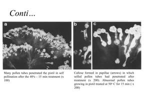 Pollen Incompatibility SELF INCOMPATIBILITY FINAL | PPTX