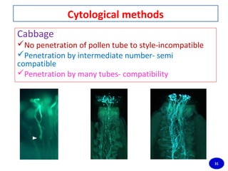 Pollen Incompatibility Self incompatibility in plants: a pollination control mechanism in ...