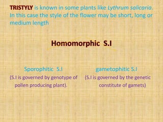 is known in some plants like Lythrum salicaria.
In this case the style of the flower may be short, long or
medium length
Sporophitic S.I gametophitic S.I
(S.I is governed by genotype of (S.I is governed by the genetic
pollen producing plant). constitute of gamets)
 