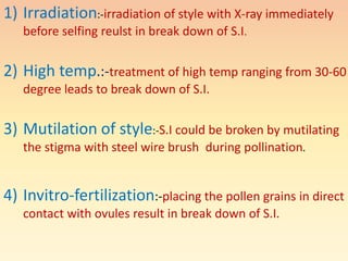 1) Irradiation:-irradiation of style with X-ray immediately
before selfing reulst in break down of S.I.
2) High temp.:-treatment of high temp ranging from 30-60
degree leads to break down of S.I.
3) Mutilation of style:-S.I could be broken by mutilating
the stigma with steel wire brush during pollination.
4) Invitro-fertilization:-placing the pollen grains in direct
contact with ovules result in break down of S.I.
 