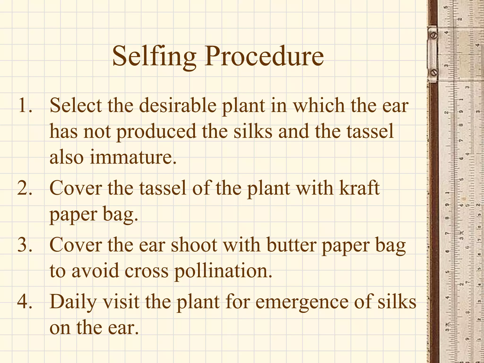 selfing and crossing in maize lecture note.ppt