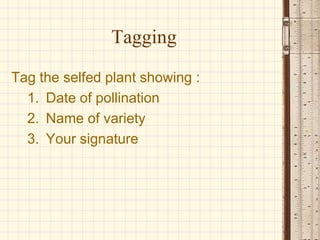 selfing and crossing in maize lecture note.ppt