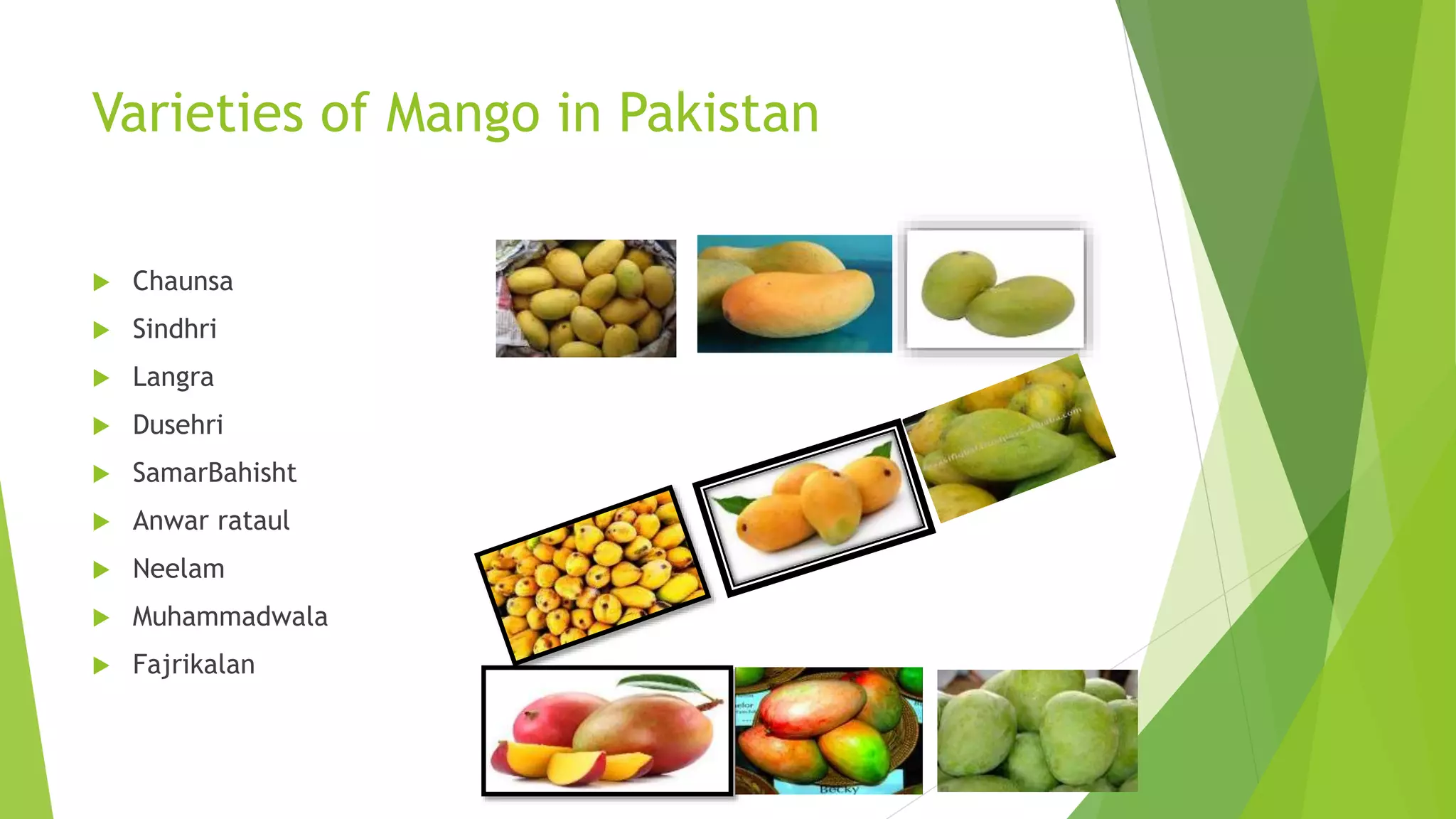 Varieties of Mango in Pakistan
 Chaunsa
 Sindhri
 Langra
 Dusehri
 SamarBahisht
 Anwar rataul
 Neelam
 Muhammadwala
 Fajrikalan
 