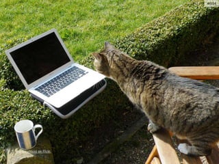 barockschloss on Flickr.
#ID24
 