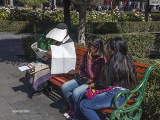 A.Davy on Flickr.
#ID24
 