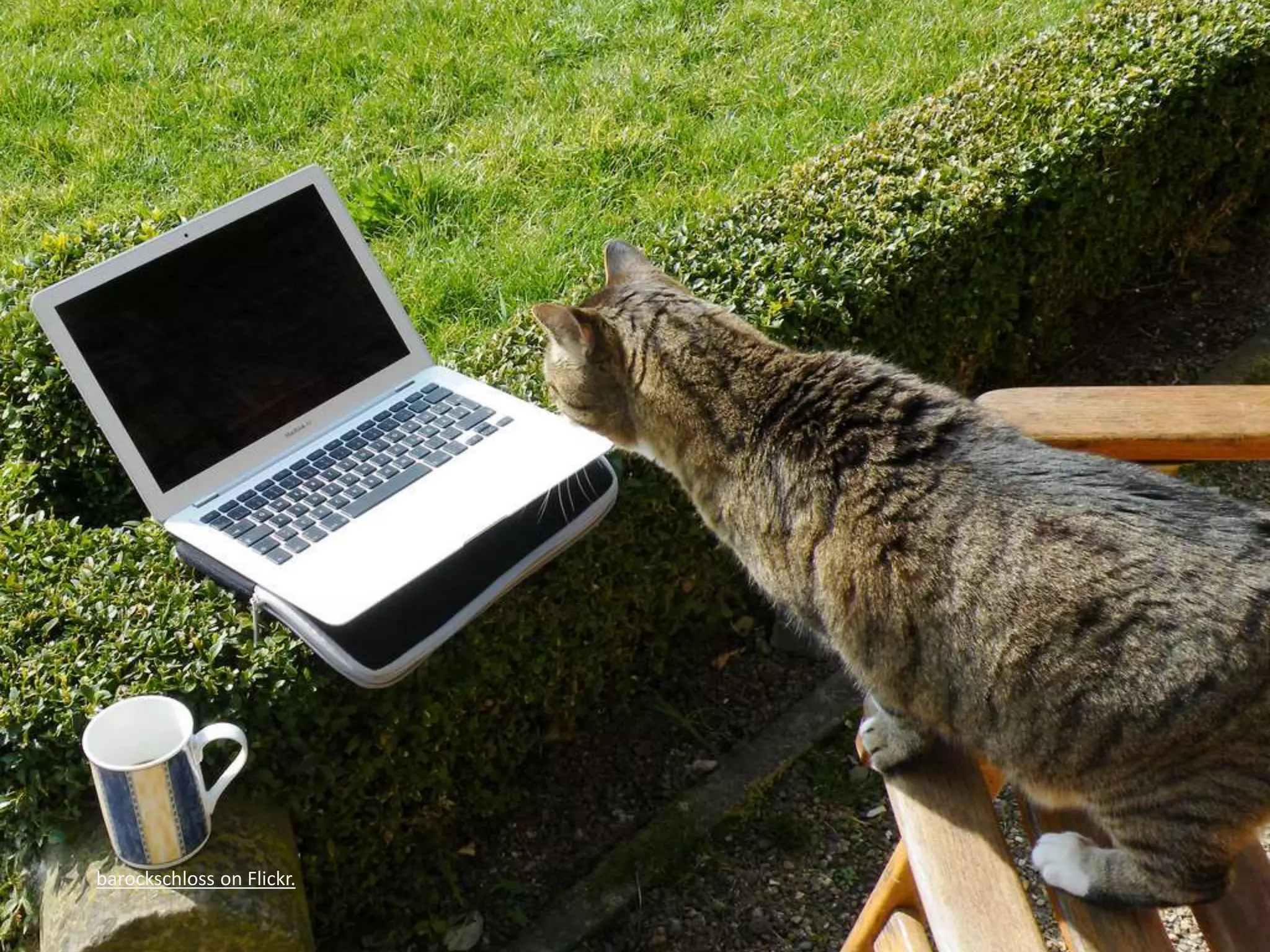 barockschloss on Flickr. 
 