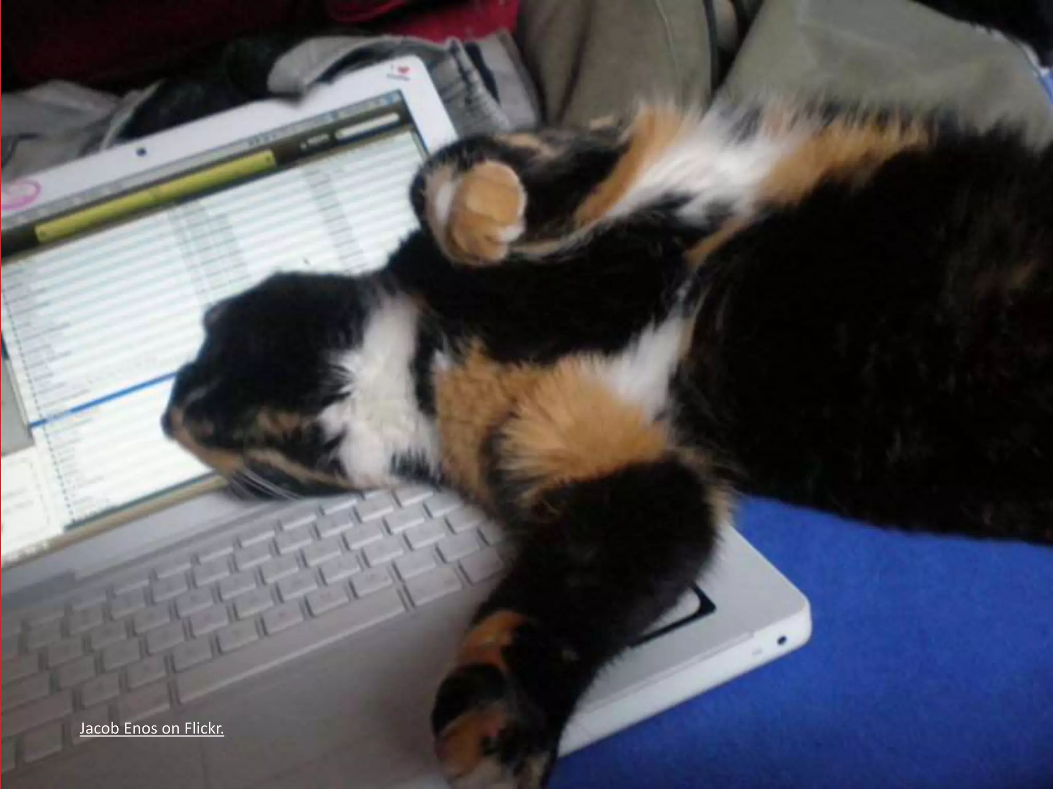 Jacob Enos on Flickr. 
 