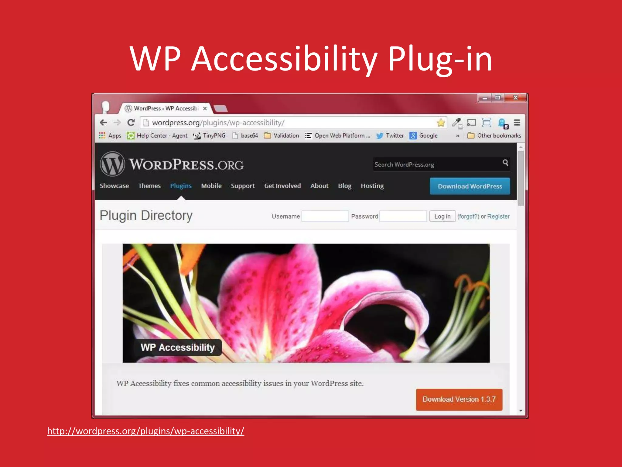 WP Accessibility Plug-in 
http://wordpress.org/plugins/wp-accessibility/ 
 